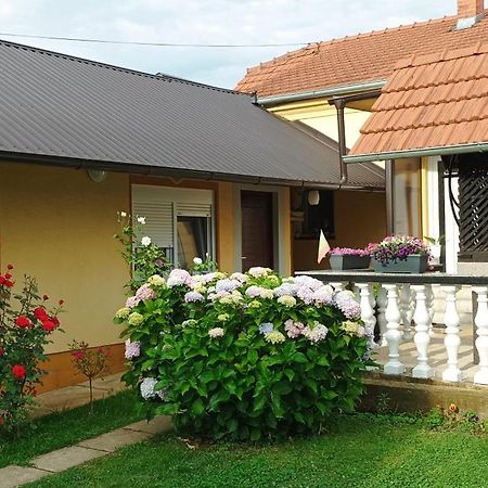 Dobrodosli Apartment Mursko Sredisce ภายนอก รูปภาพ